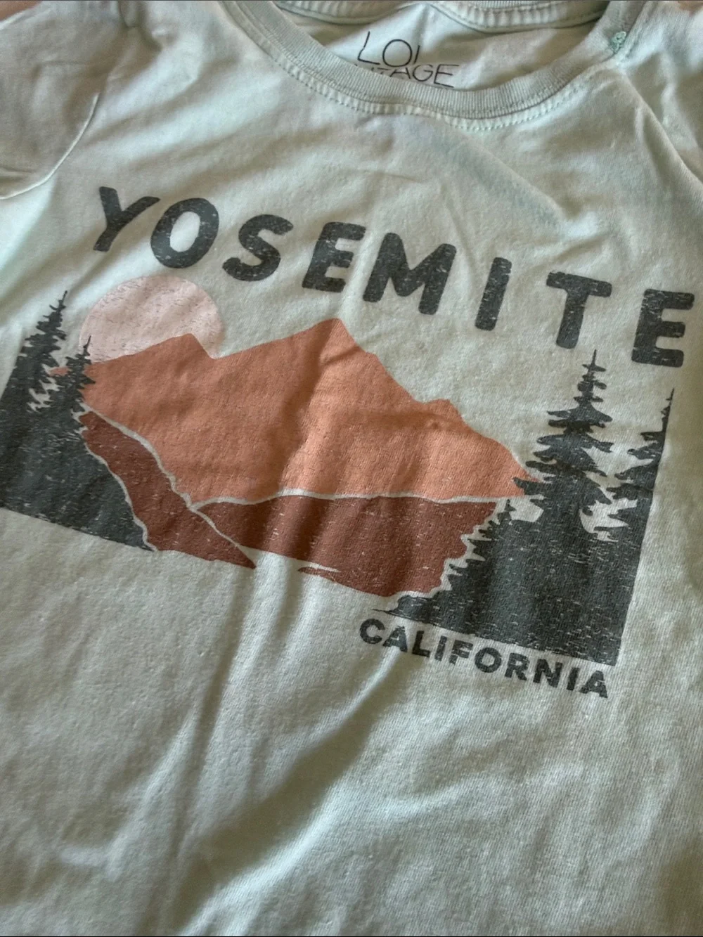 L.O.L. Vintage Yosemite Graphic Tee - Mint with Rust and Dark Teal Print